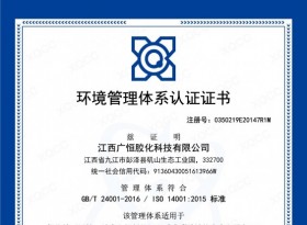 24001环境认证证书中文版